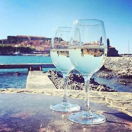 Apartment Collioure, Clair, Terrasse Et Parking Collioure